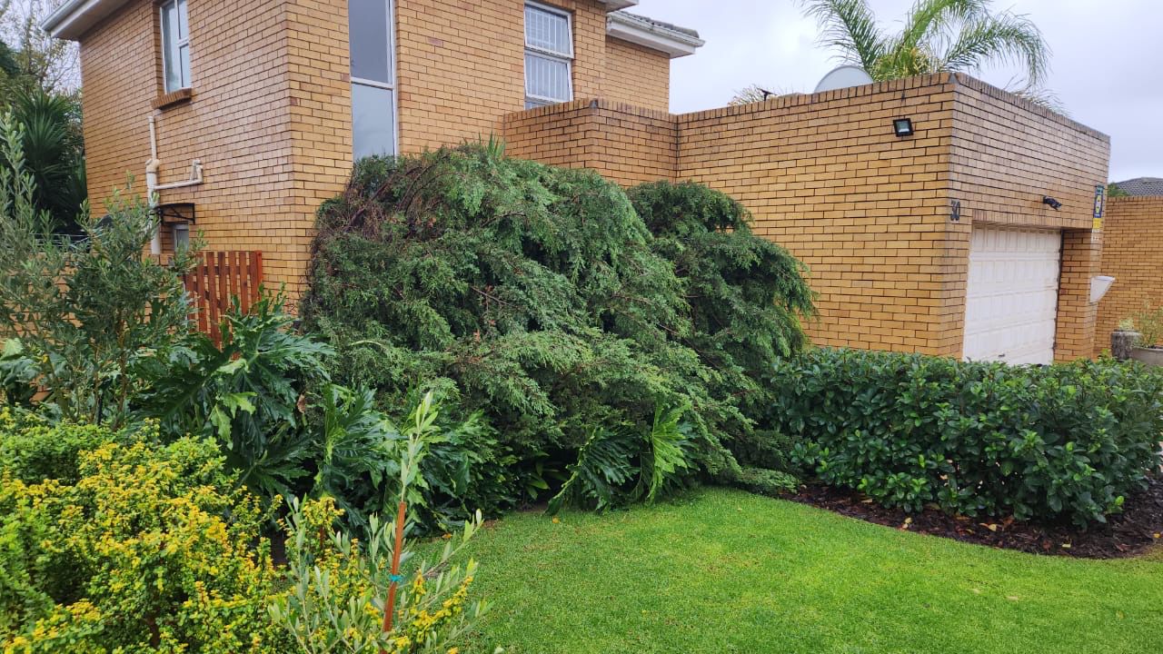 Prime Tree Felling team with professional equipment