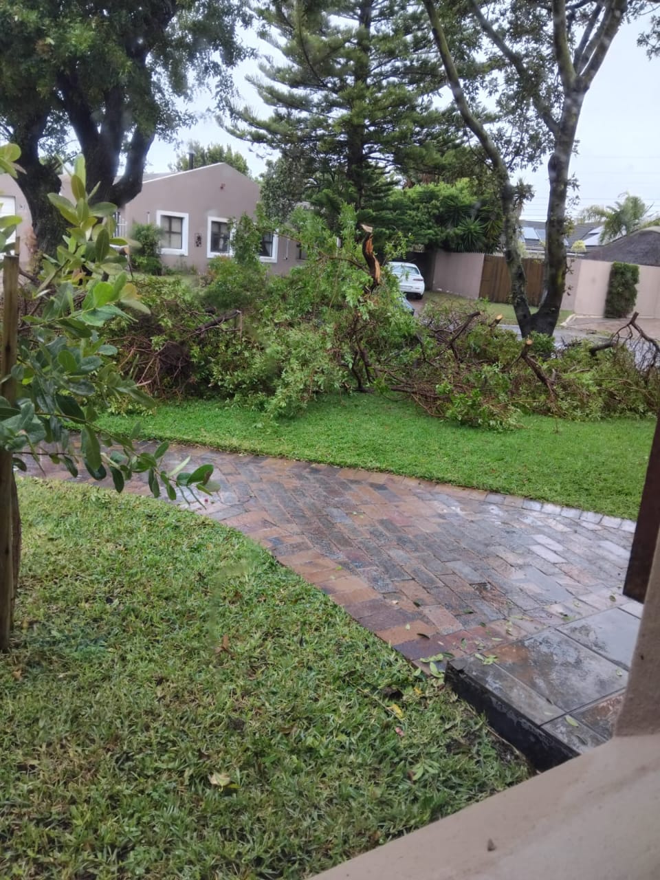 Branches cleared from driveway after a storm
