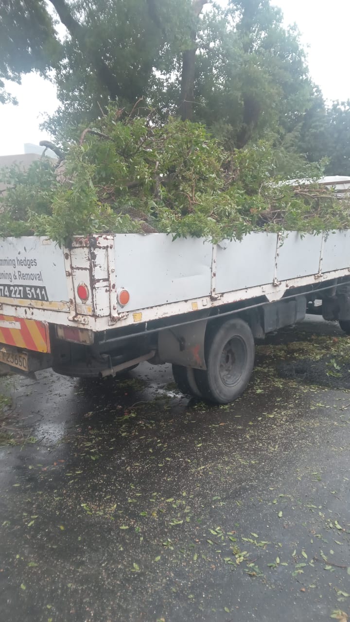 Prime Tree Felling truck loaded with cleared green waste